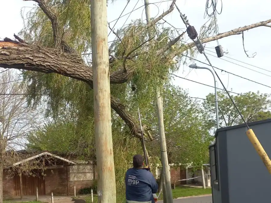 Fuerte temporal en Mar del Plata: Defensa Civil atendió más de 60 reclamos por el viento