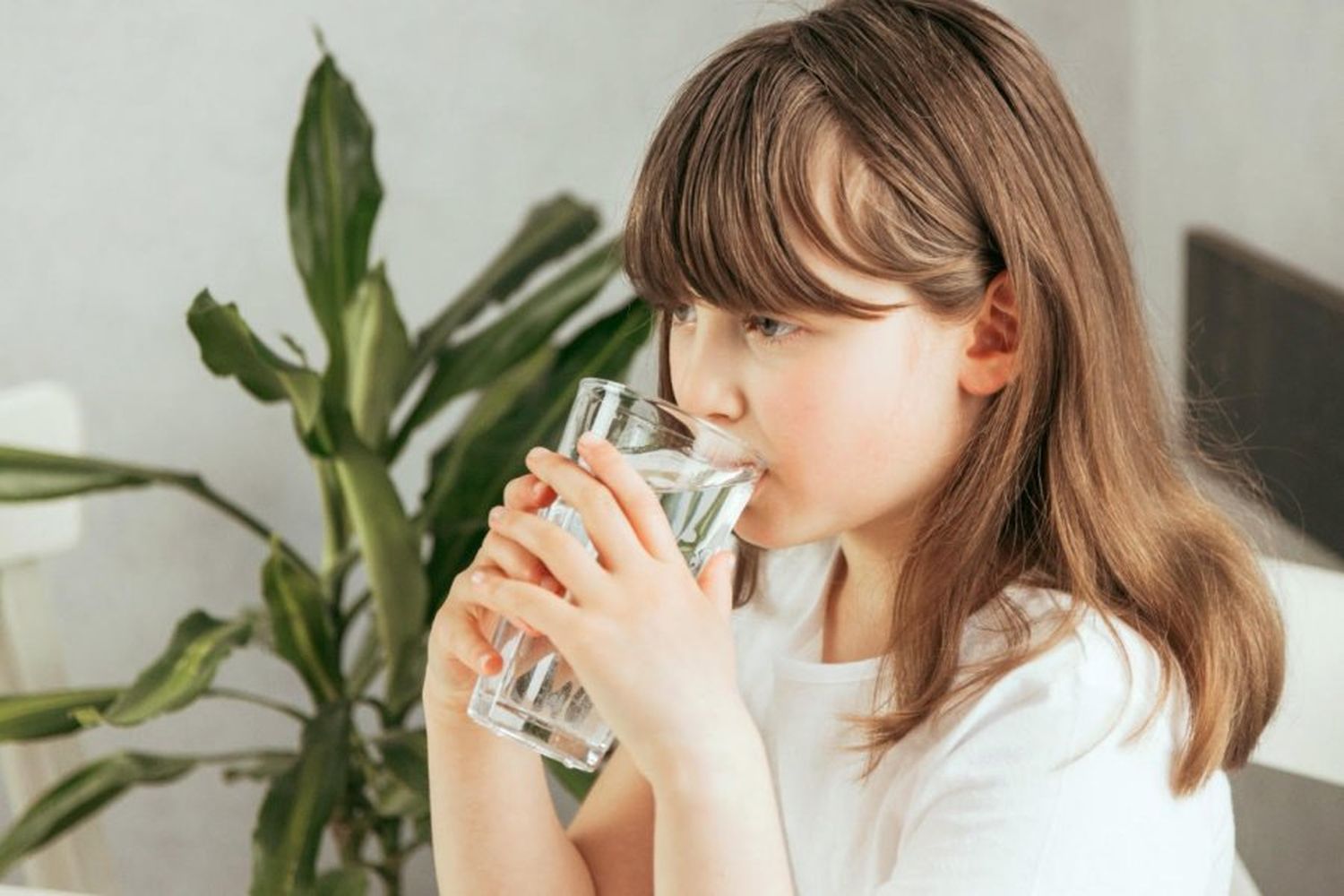 Altas temperaturas en la ciudad: consejos para evitar golpes de calor