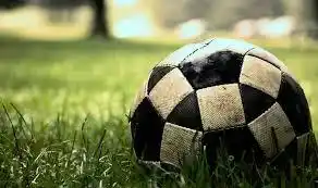 Resultados de los partidos en chacra El Vasco