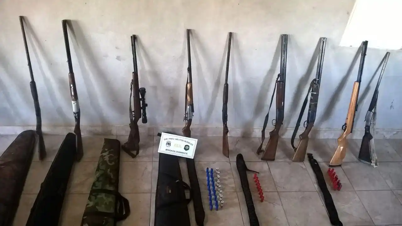 Secuestraron diez armas de fuego en la zona de islas de Diamante