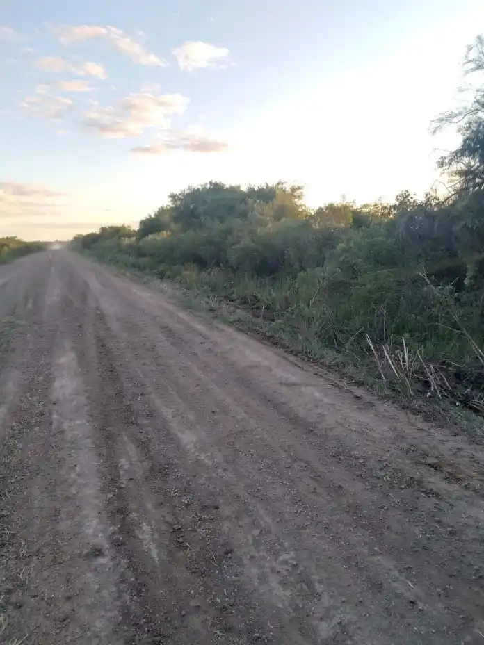 Lugar donde se encontraron los restos óseos.