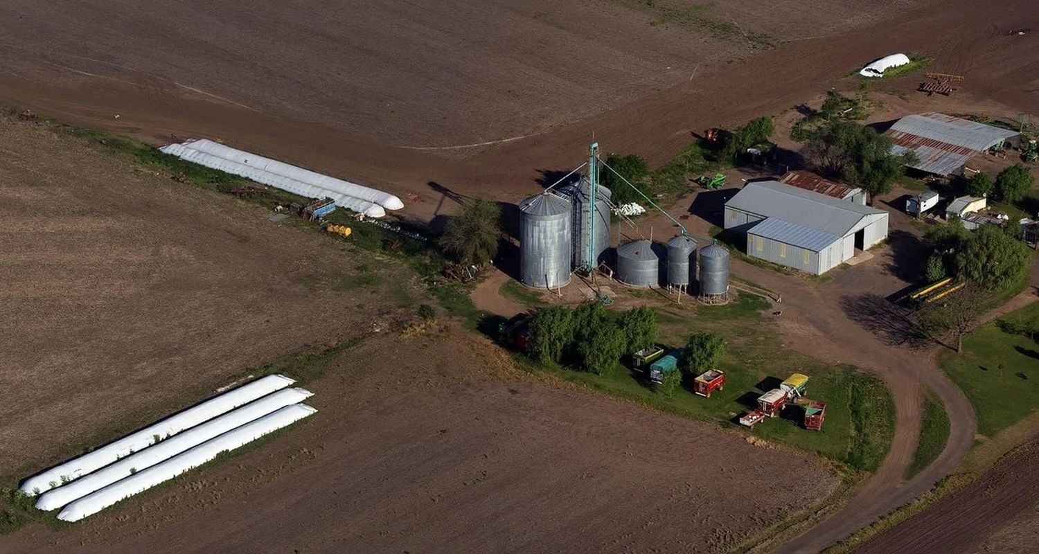 Nuevo relevamiento sobre el aporte de la agroindustria argentina