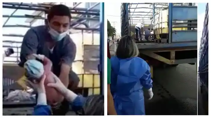 ¡INCREIBLE! UNA MUJER PARIÓ en un camión para transporte de ganado, en Guárico (+Video)