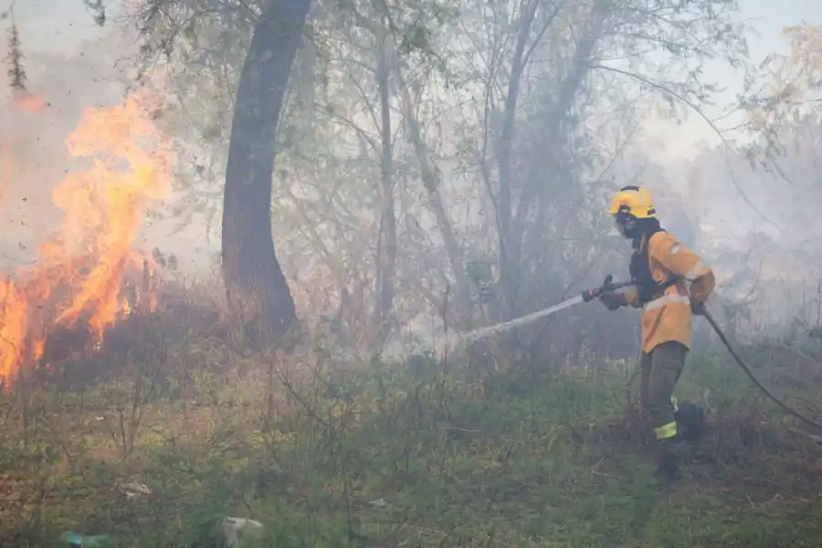 Manejo de fuego: Provincia monitorea con Nación y Entre Ríos la implementación del Plan Delta 2024