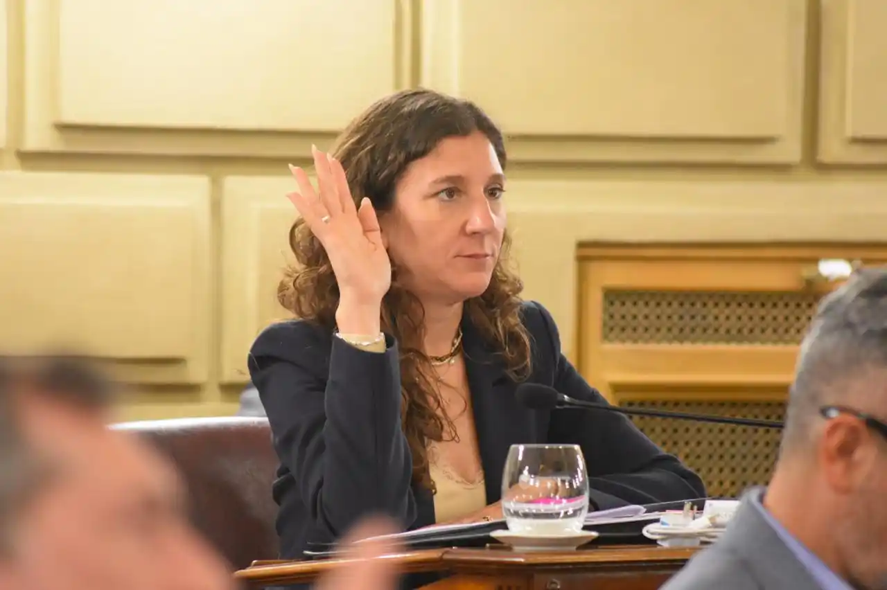 La senadora en el momento de la aprobación del presupuesto 2025.