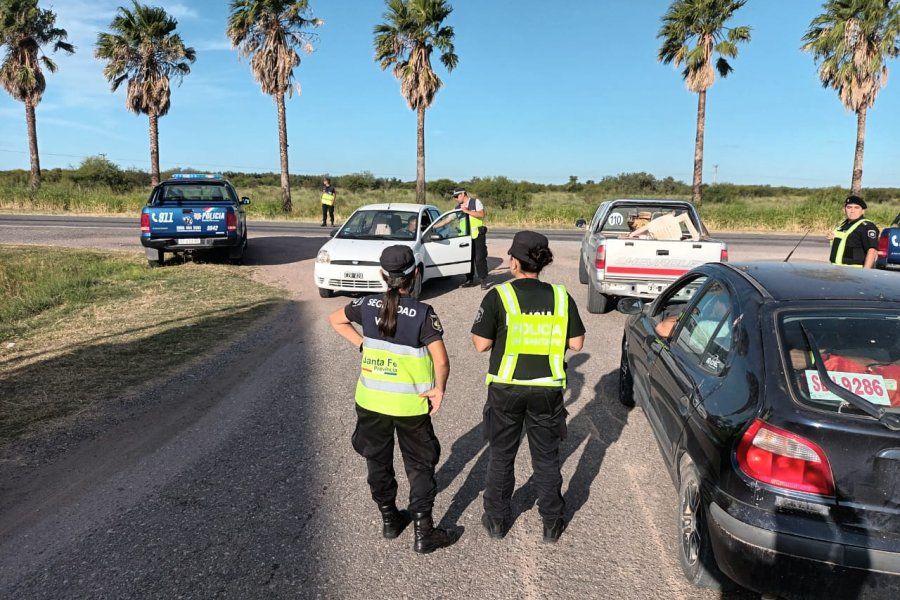 Un auto y una camioneta impactaron contra un caballo en RN34: le costó la vida al animal