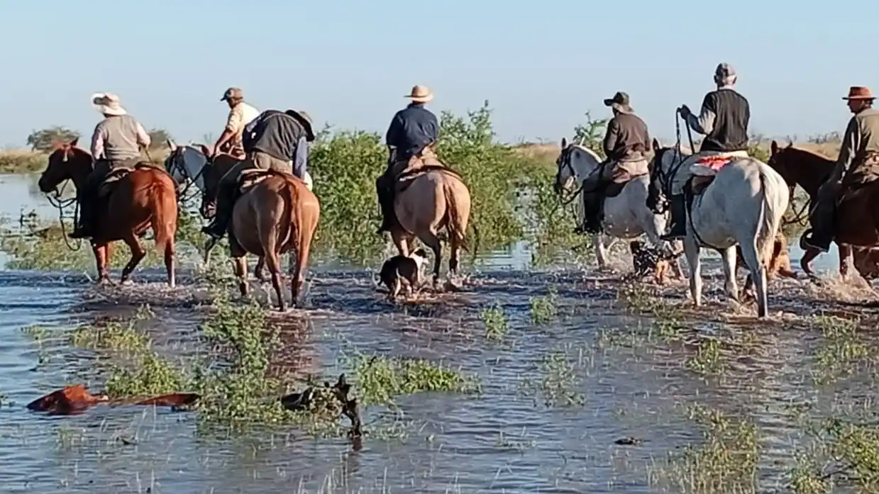 Fortín Olmos, bajo el agua: rescatan hacienda a caballo y crece la preocupación por una crisis social y productiva