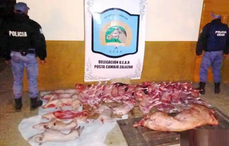 La UEAR secuestró animales faenados sin 
respetar las condiciones de salubridad