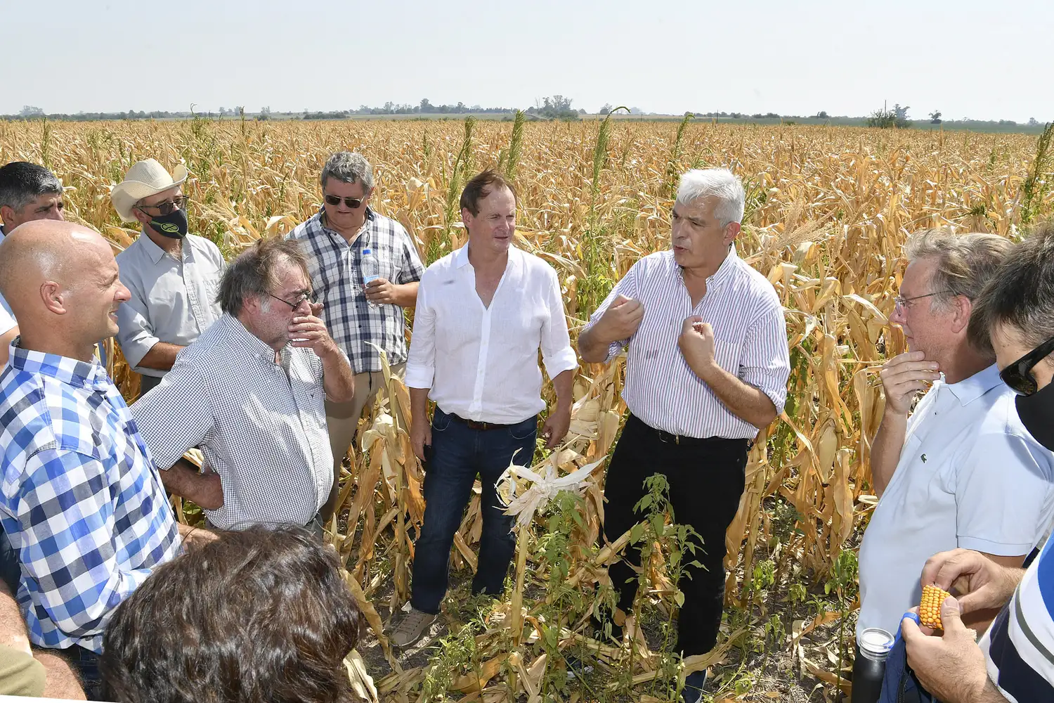 El gobierno convocó a las entidades agropecuarias para evaluar medidas ante la sequía
