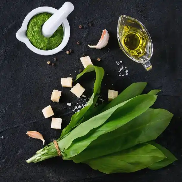 AROMÁTICAS, sabor y aroma para comidas bebidas y curas