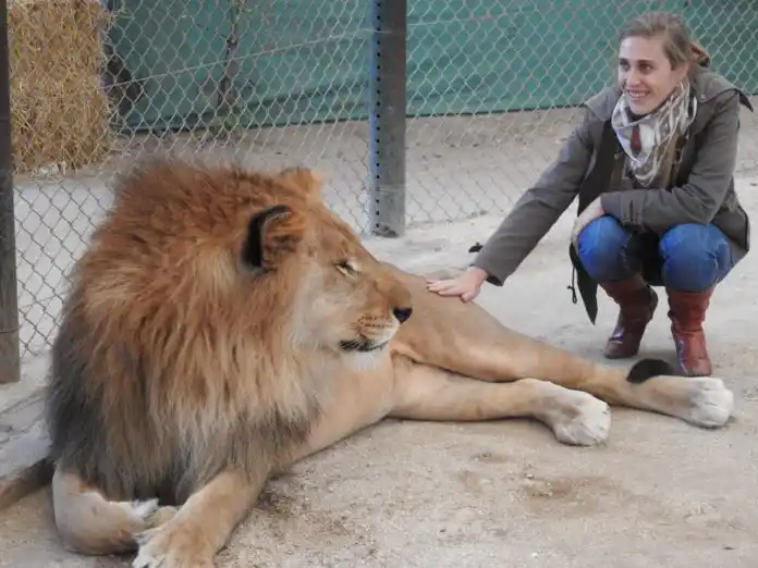 Así sometían a los animales en el zoológico de Luján