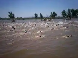 Se realizó el Cruce del Gualeguay Grande