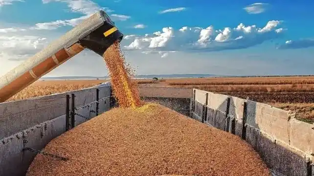 La presidenta de la Sociedad Rural de Rosario sobre el regreso de las retenciones: "Hay enojo",