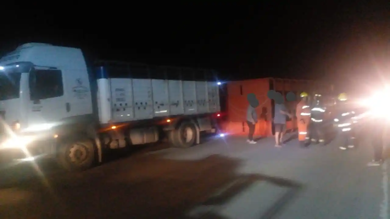 Un camión volcó en el desvío de la ruta 1, cerca de Porteña