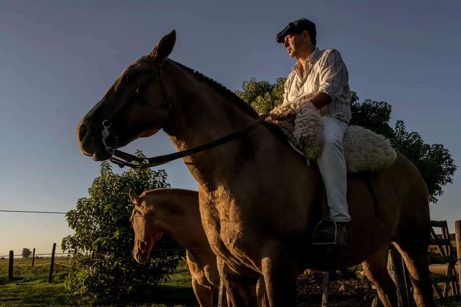 Un productor sampedrino en un informe del New York Times sobre la economía argentina