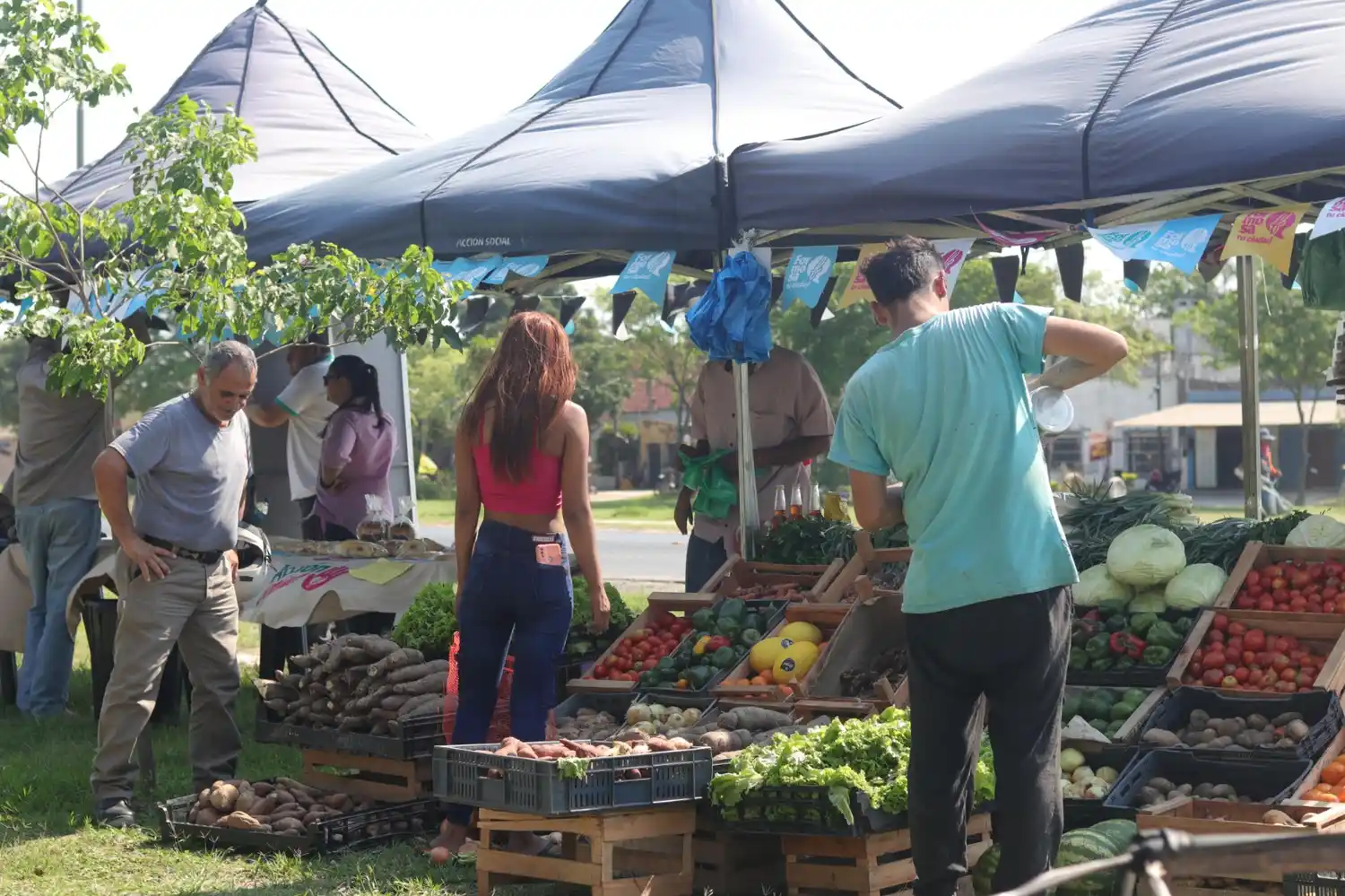 Gran edición especial de Bolsones Saludables en el barrio La Floresta