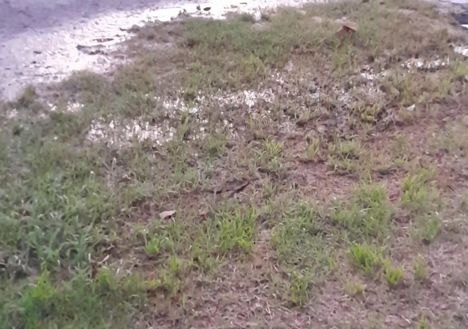 Reclamos por una pérdida de agua en Honorio Pueyrredón al 2400