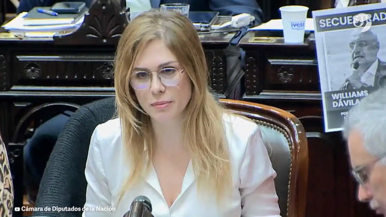 Lilia Lemoine sobre el atentado contra Cristina Kirchner: “Fue armado por el albertismo"