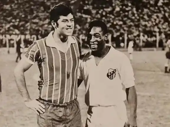 Willington con pele