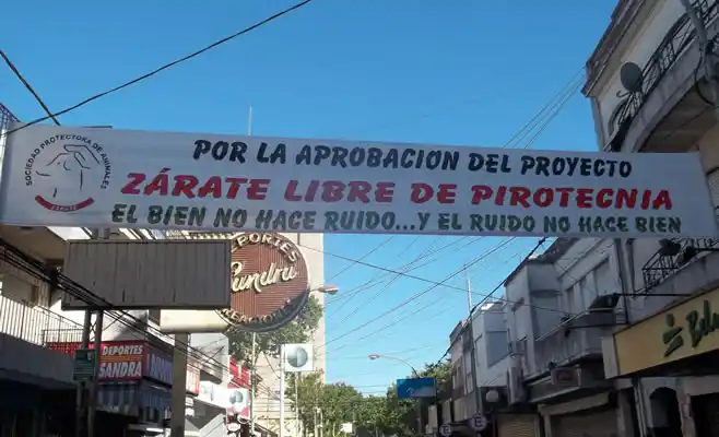 Zárate: Polémica en el HCD por proyecto de prohibición de pirotecnia
