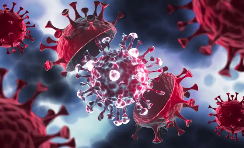 Covid-19: comienzan a propagarse y estudiarse nuevas variantes llamadas FLiRT