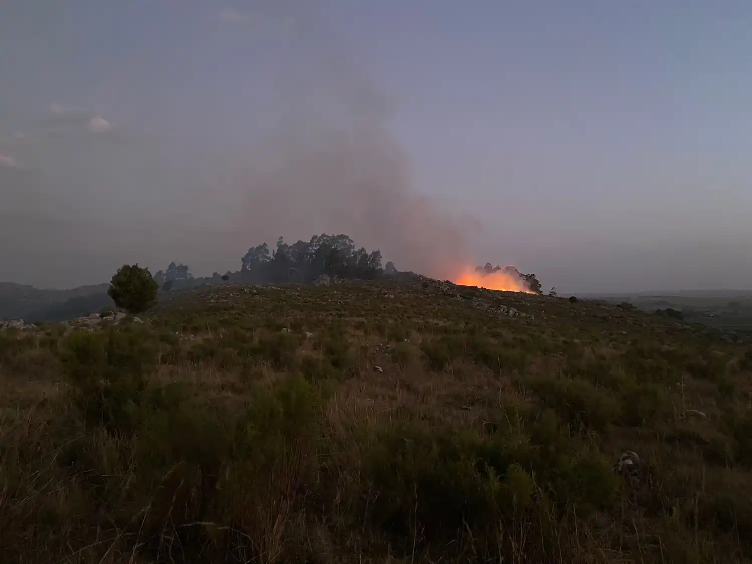 Incendio en las sierras de Tandil.