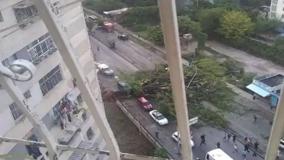 UN ABUELO MUERTO Y VARIOS HERIDOS el saldo de la caída de un árbol en Guarenas