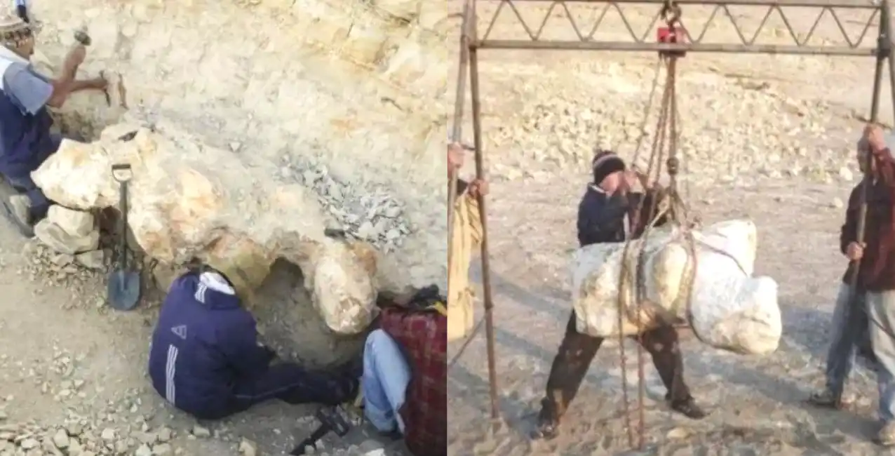 El equivalente a 200 autos.