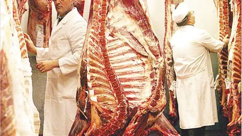 Actualizaron valores de referencia para exportación de carne bovina