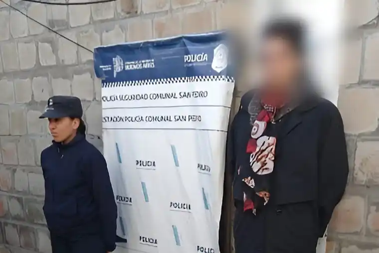 Las cámaras de seguridad permitieron establecer la autoría del robo.