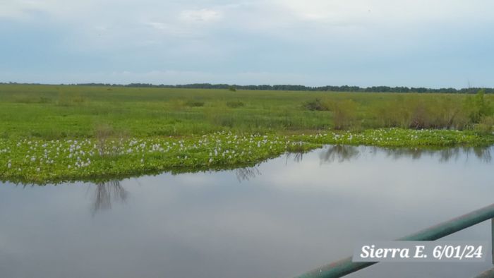 río islas foto quique sierra