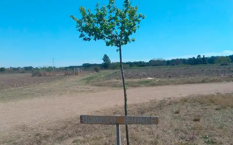 Dos años sin Domingo Bronce: su familia agradeció un árbol plantado en su recuerdo por la escuela Agropecuaria