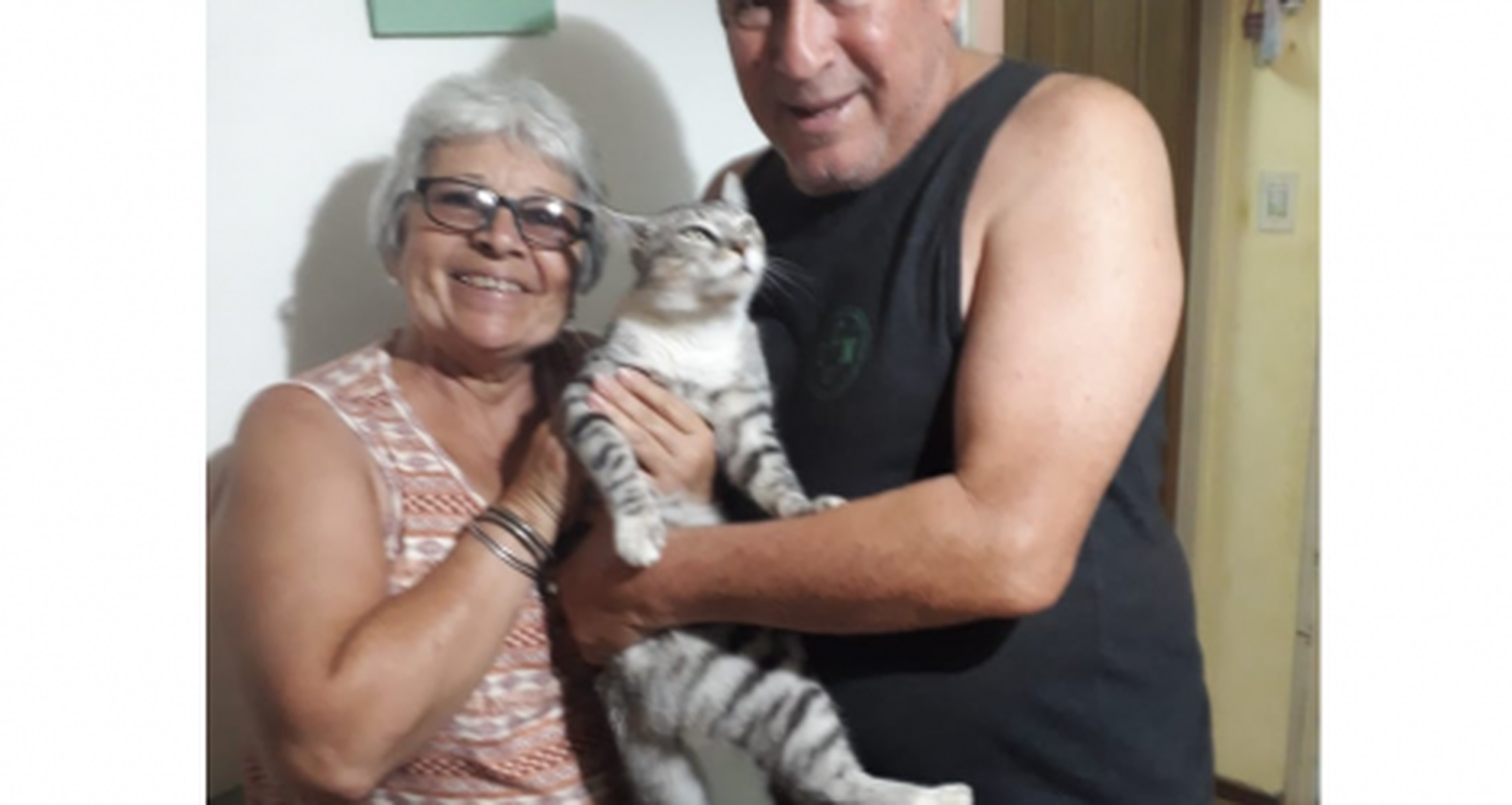 Apareció Nino