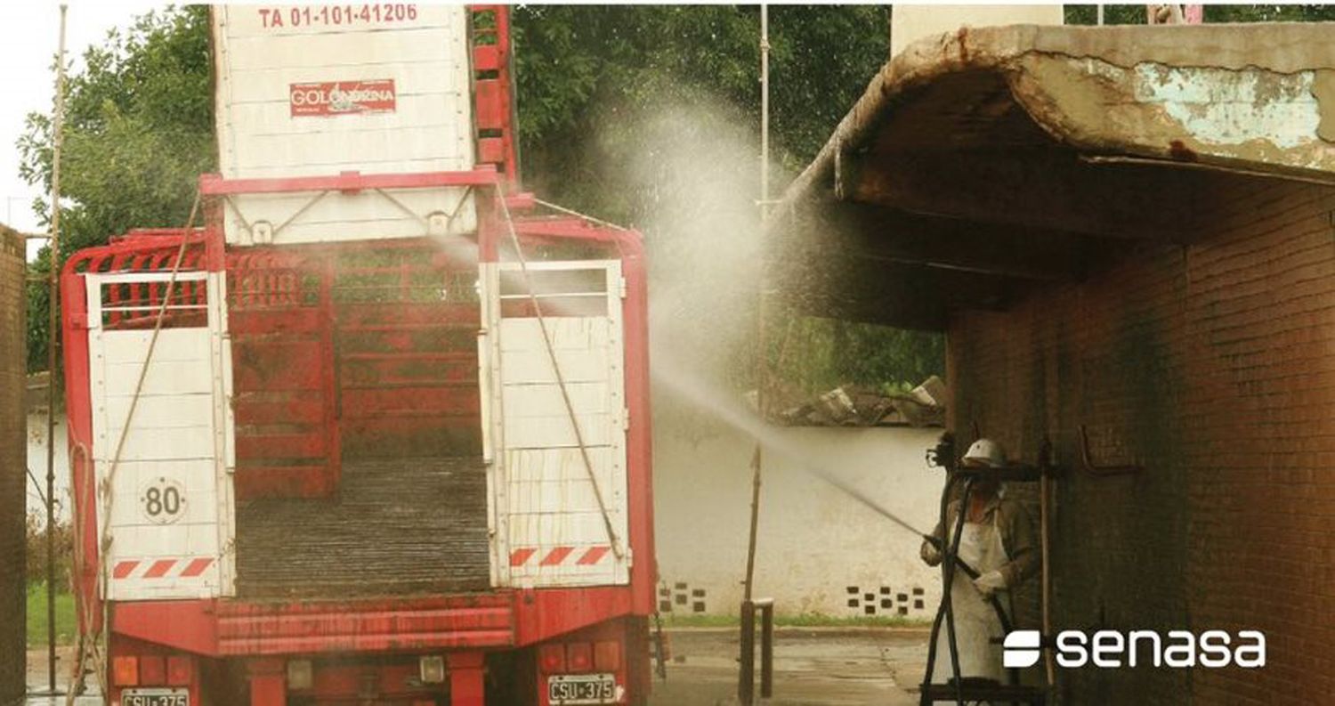 El lavado y desinfección del transporte de hacienda previene enfermedades
