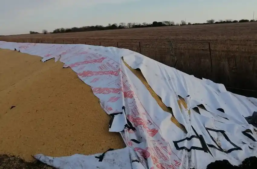 Rotura de silobolsas: "Perjudica al consumidor porque el productor tiene que compensar con mayores precios"