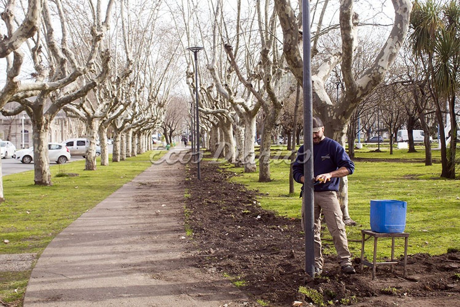 Sigue la colocación de luminarias led en la plaza Dardo Rocha