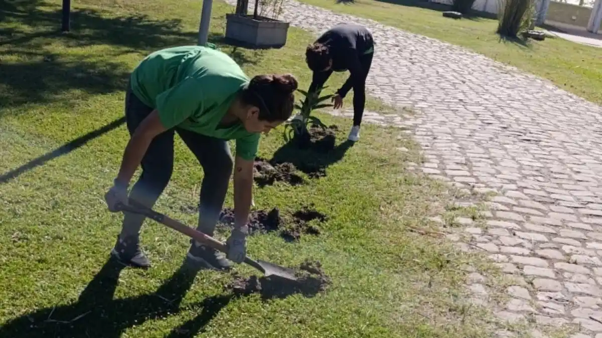 Plantaron especies nativas para reforzar los espacios verdes en La Delfina