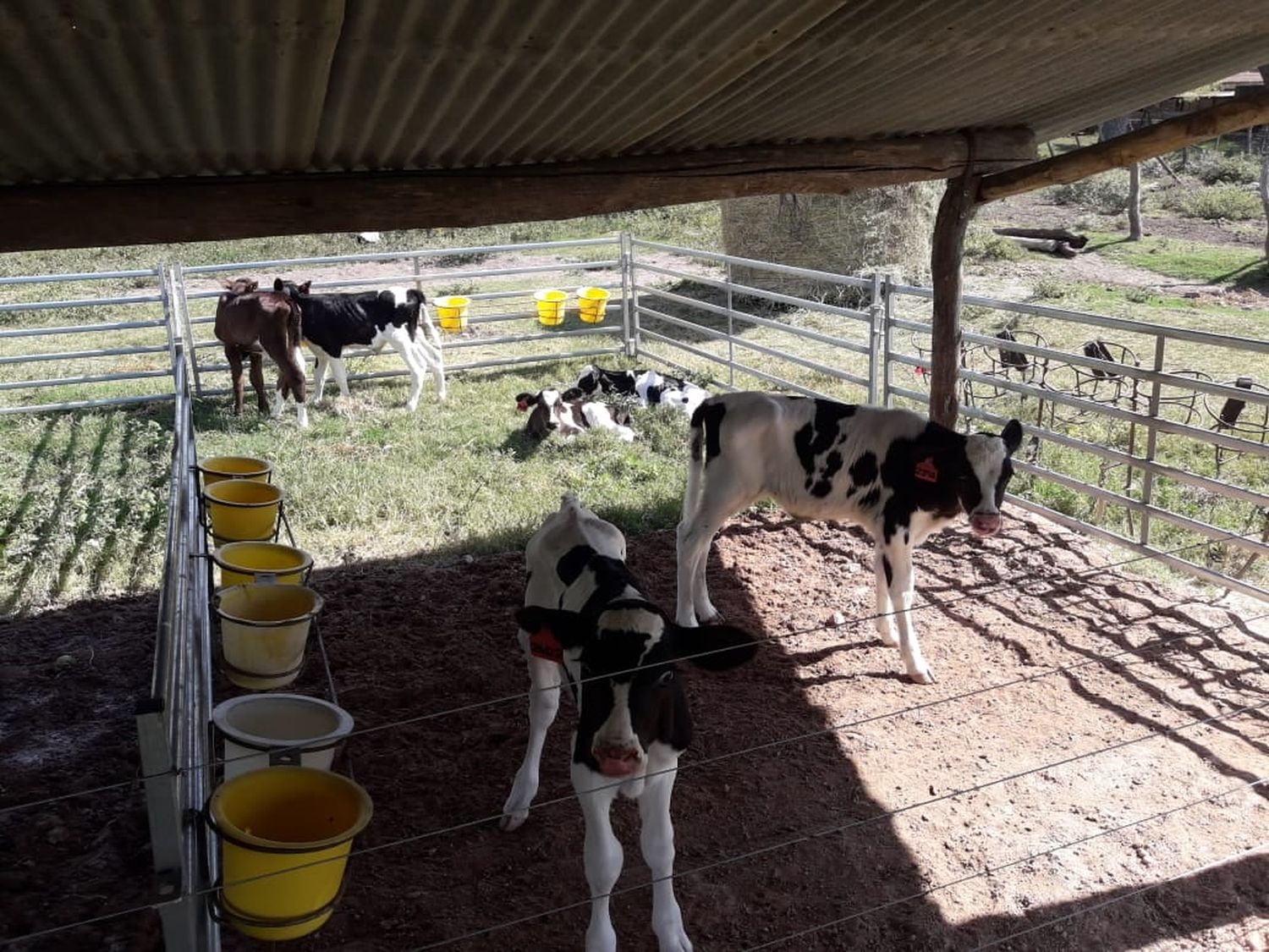 Las Delicias: 122 años preparando recursos humanos para el campo