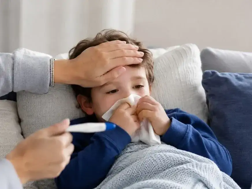 influenza - 2