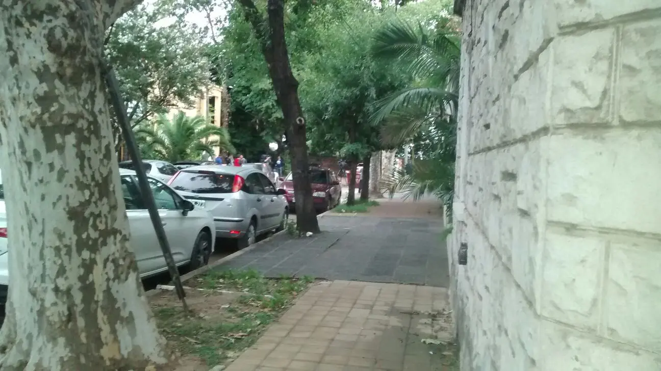 Aseguran que hay 8 casos de dengue en una cuadra de Vicente López