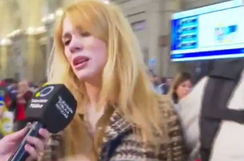 Lilia Lemoine sufrió una agresión y le robaron el celular en Villa Urquiza