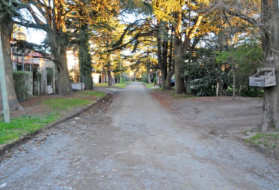 Un pitbull mató a un caniche en el Barrio Golf