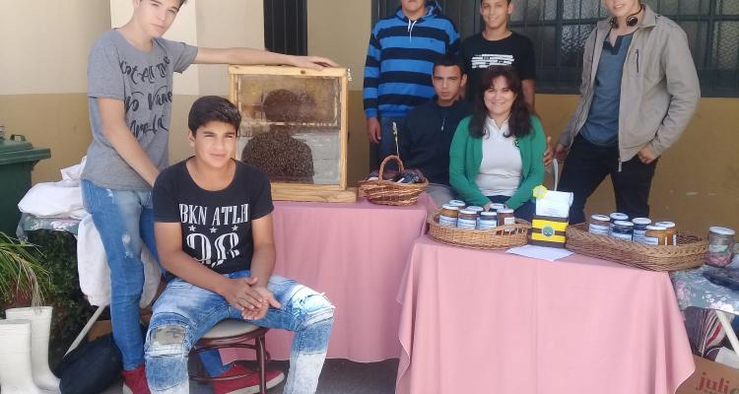 La oferta educativa del distrito en un solo lugar