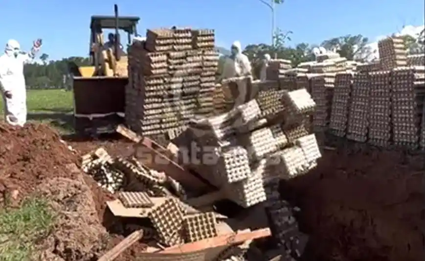 Hicieron un bocinazo en apoyo a la avícola que destruyó 360.000 huevos y está enfrentada a un organismo