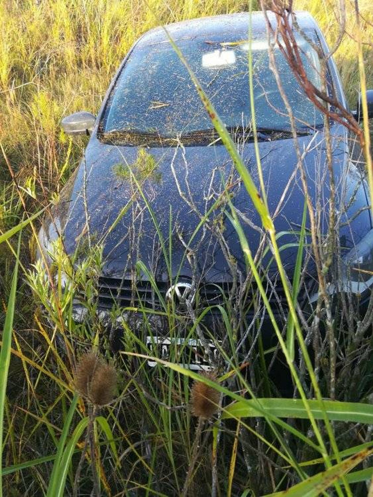 Un automóvil despistó en la ruta 39