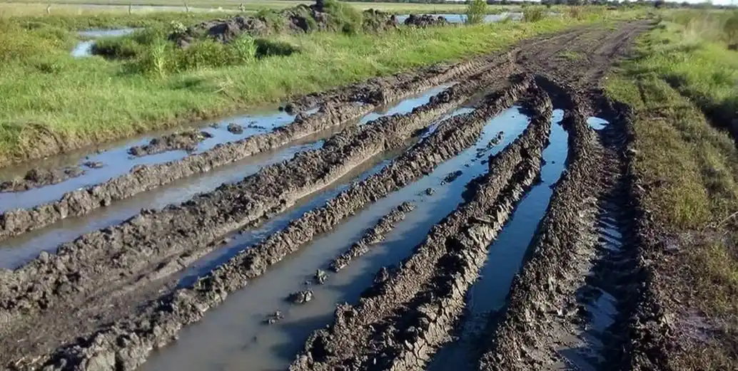 Las condiciones ambientales estuvieron marcadas por elevados niveles de humedad que derivaron en suelos saturados y caminos rurales en mal estado.