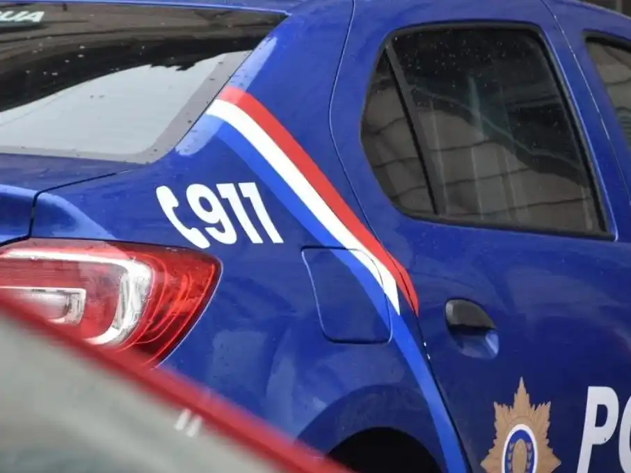 Un llamado a la Central de Emergencias 911 alertó sobre un perro que había sido atropellado Créditos: Pablo Aguirre