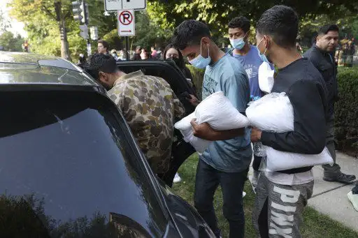 Migración 