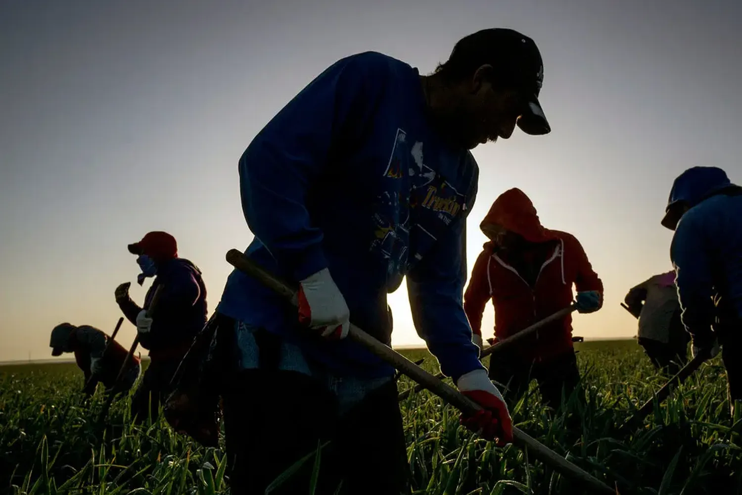 Si los MIGRANTES dejaran de trabajar «sería absolutamente cataclísmico» para la economía de EE.UU.