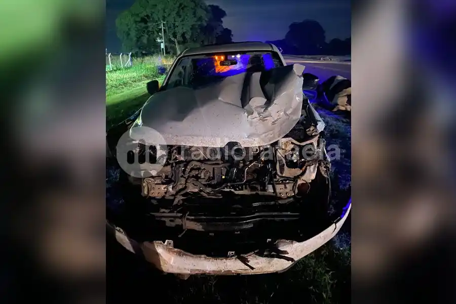 Fuerte impacto: viajaba por Ruta 70 cuando se le cruzaron varios animales